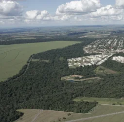 A força do associativismo e seus resultados: a inserção do engenheiro ambiental no Quadro de Profissionais do Estado do Paraná