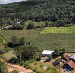 Cascavel debate as oportunidades do Novo Código Florestal