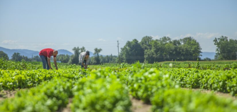 II Encontro Paranaense de Agricultura Regenerativa será realizado em abril em Marechal Cândido Rondon
